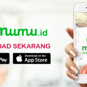 perlengkapan rumah tangga